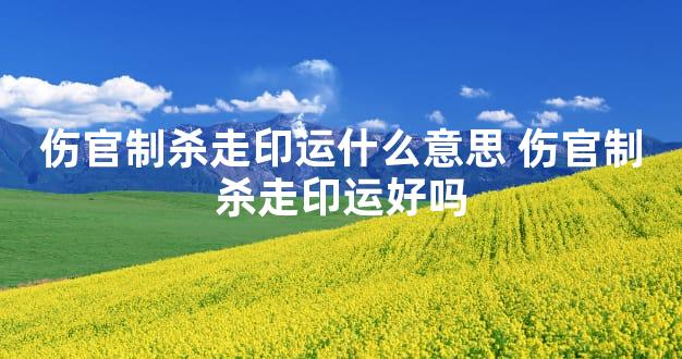 伤官制杀走印运什么意思 伤官制杀走印运好吗